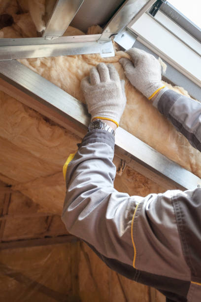Best Cellulose Insulation in Cementon, PA